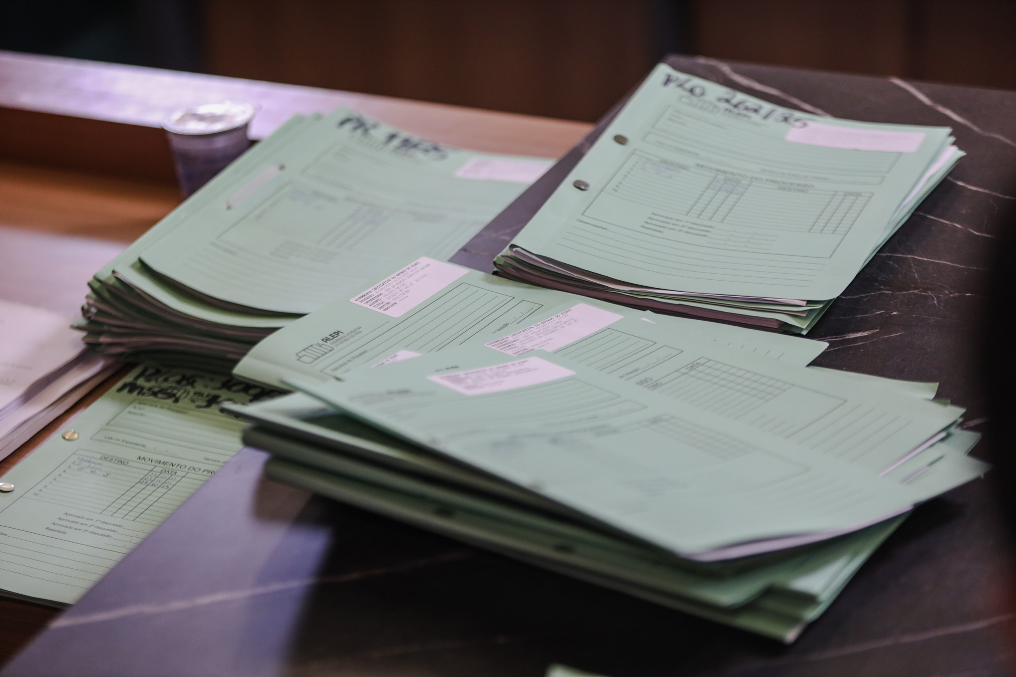 COMISSÃO DE CONSTITUIÇÃO E JUSTIÇA (2).jpg