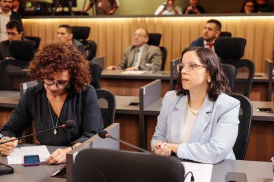 AUDIÊNCIA PUBLICA PLOA (13).jpg