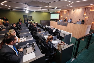 AUDIÊNCIA PUBLICA PLOA (5).jpg