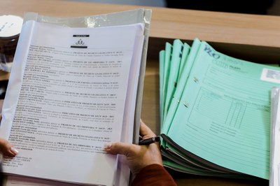 REUNIÃO DAS COMISSÕES CONJUNTAS (3).jpg