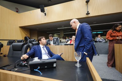 SESSÃO PLENÁRIA 11.11.2025 (29).jpg