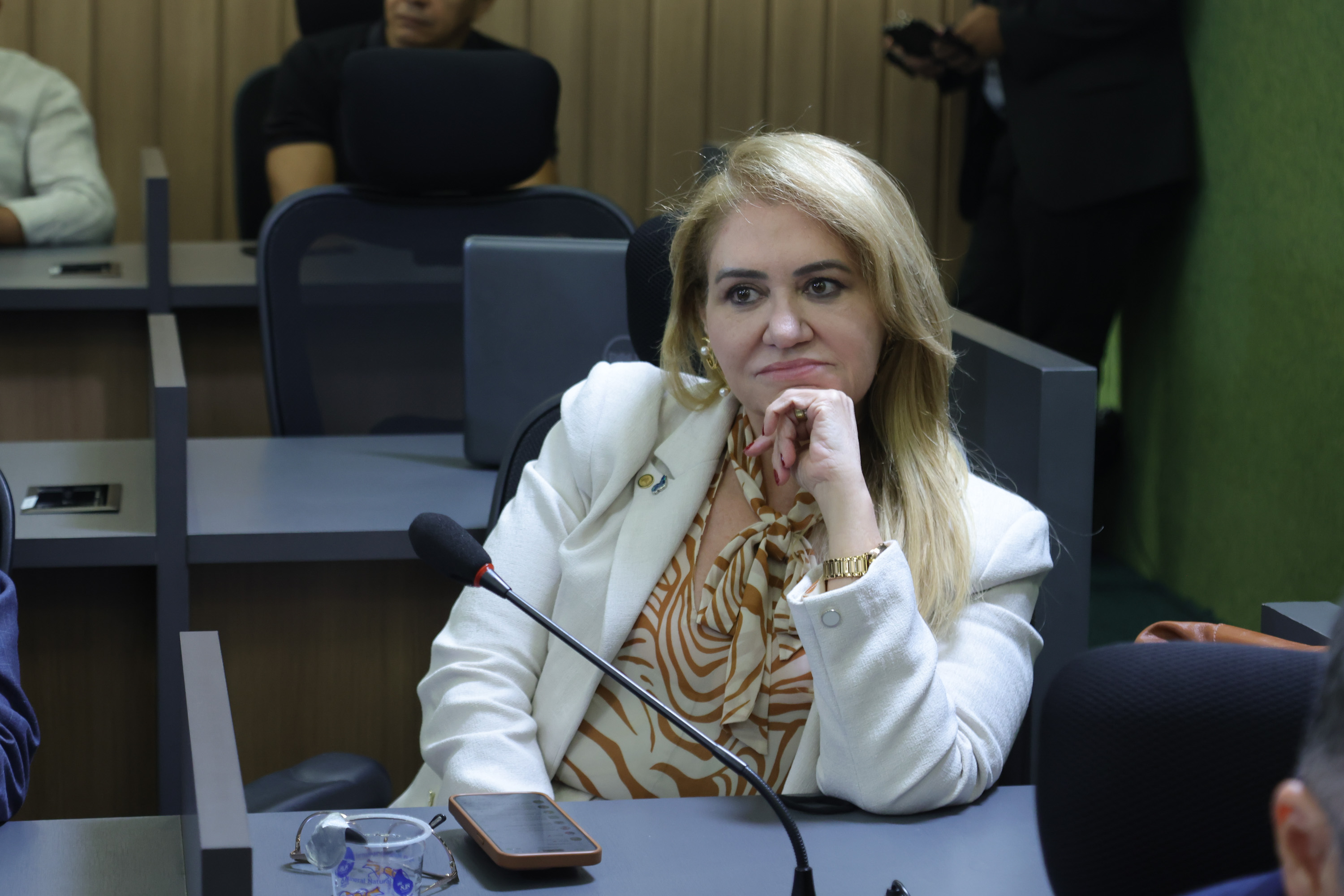 AUDIÊNCIA PÚBLICA COM DER SOBRE SITUAÇÃO DAS RODOVIAS ESTADUAIS- FOTOS REGIS FALCÃO ASCOM ALEPI (4).jpg