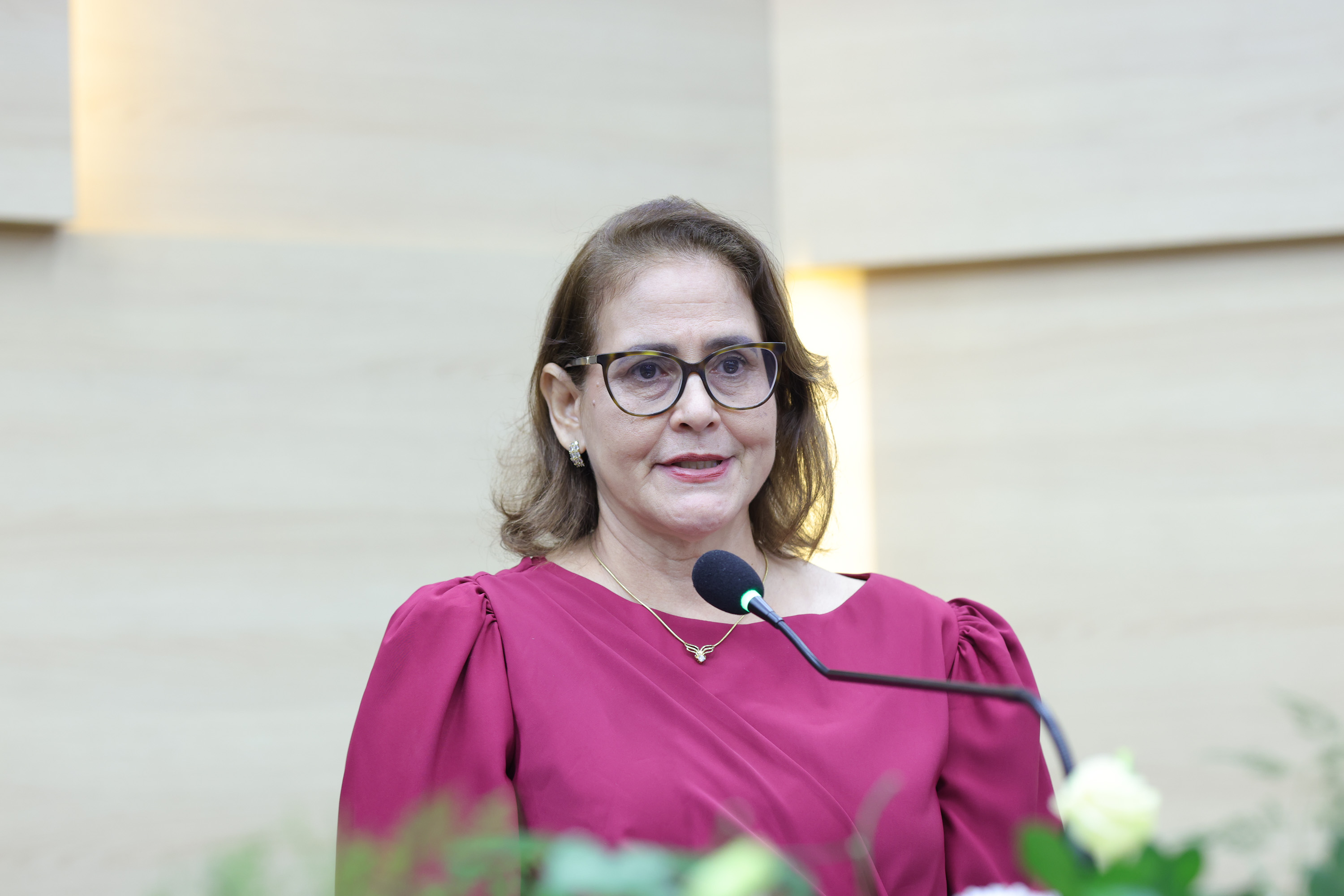 SESSÃO SOLENE TÍTULO DE CIDADANIA À REJANE TAVARES DA SILVA E À  ANA BEATRIZ MARTINS DOS SANTOS SERRAINE (29).jpg