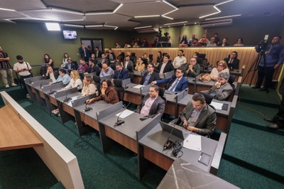 AUDIÊNCIA PÚBLICA AVANÇOES E CONQUISTAS DA SAÚDE-FOTOS THIAGO AMARAL  (4).jpg