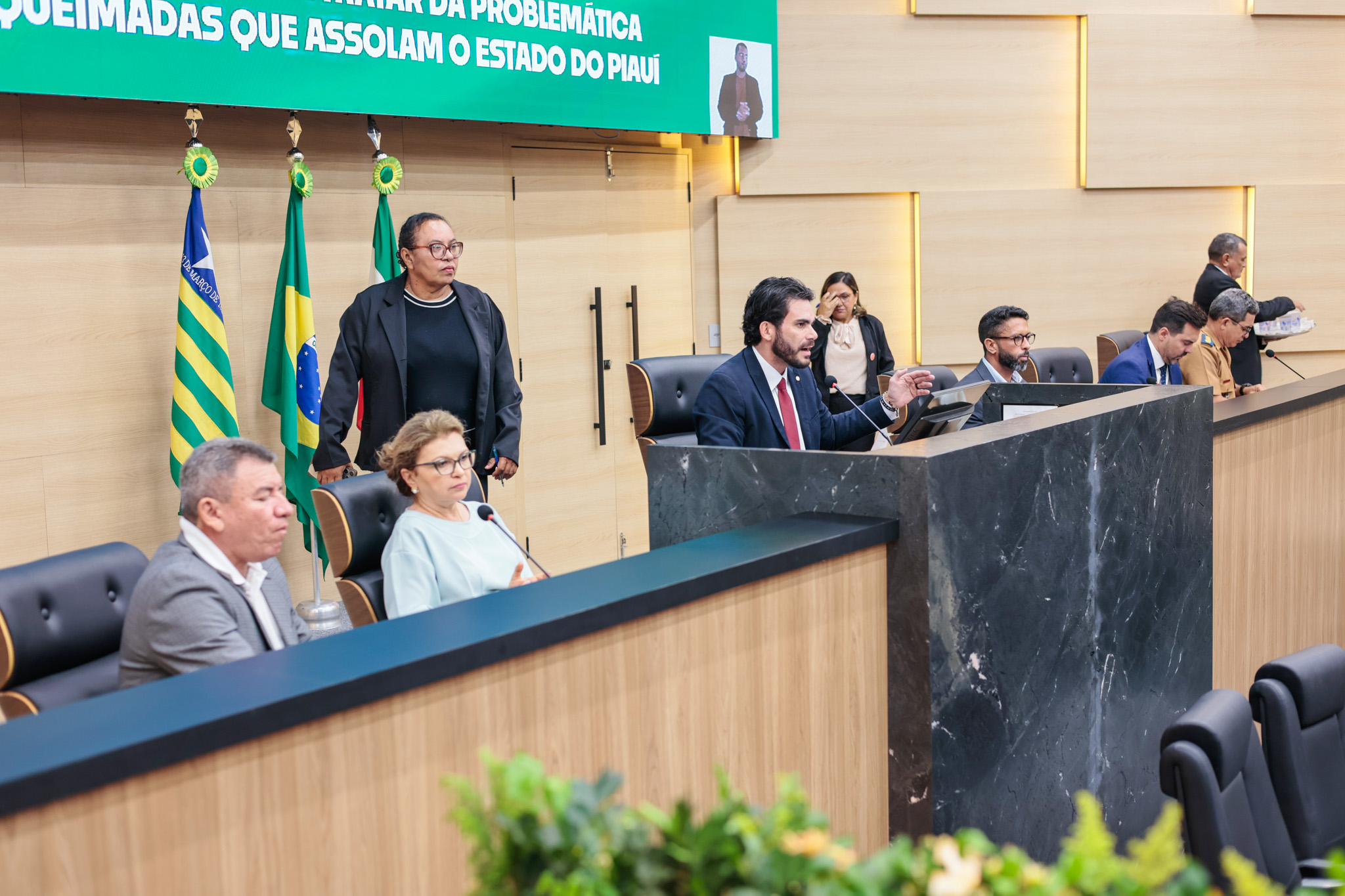 AUDIÊNCIA PÚBLICA PARA TRATAR DAS QUEIMADAS NO PIAUÍ (10).jpg