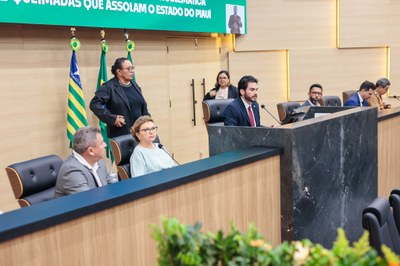 AUDIÊNCIA PÚBLICA PARA TRATAR DAS QUEIMADAS NO PIAUÍ (11).jpg