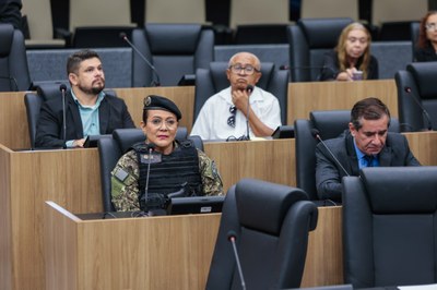 AUDIÊNCIA PÚBLICA PARA TRATAR DAS QUEIMADAS NO PIAUÍ (13).jpg