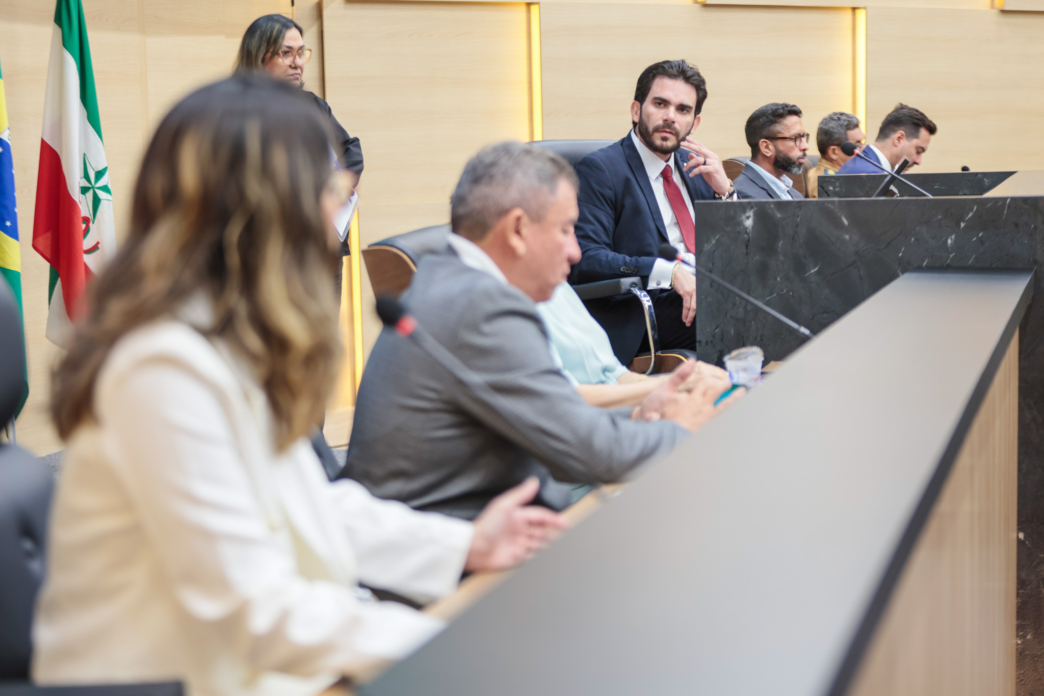 AUDIÊNCIA PÚBLICA PARA TRATAR DAS QUEIMADAS NO PIAUÍ (22).jpg