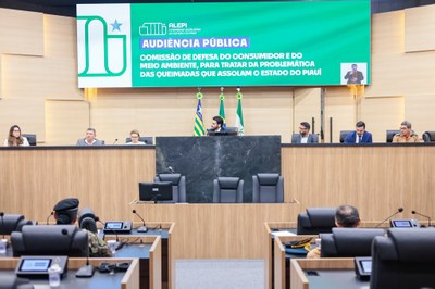 AUDIÊNCIA PÚBLICA PARA TRATAR DAS QUEIMADAS NO PIAUÍ (26).jpg