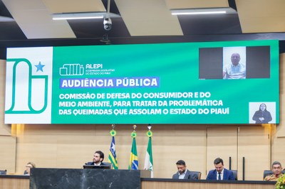 AUDIÊNCIA PÚBLICA PARA TRATAR DAS QUEIMADAS NO PIAUÍ (33).jpg