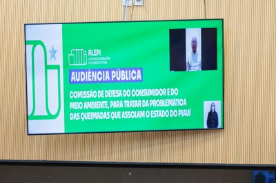 AUDIÊNCIA PÚBLICA PARA TRATAR DAS QUEIMADAS NO PIAUÍ (34).jpg