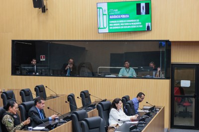 AUDIÊNCIA PÚBLICA PARA TRATAR DAS QUEIMADAS NO PIAUÍ (35).jpg