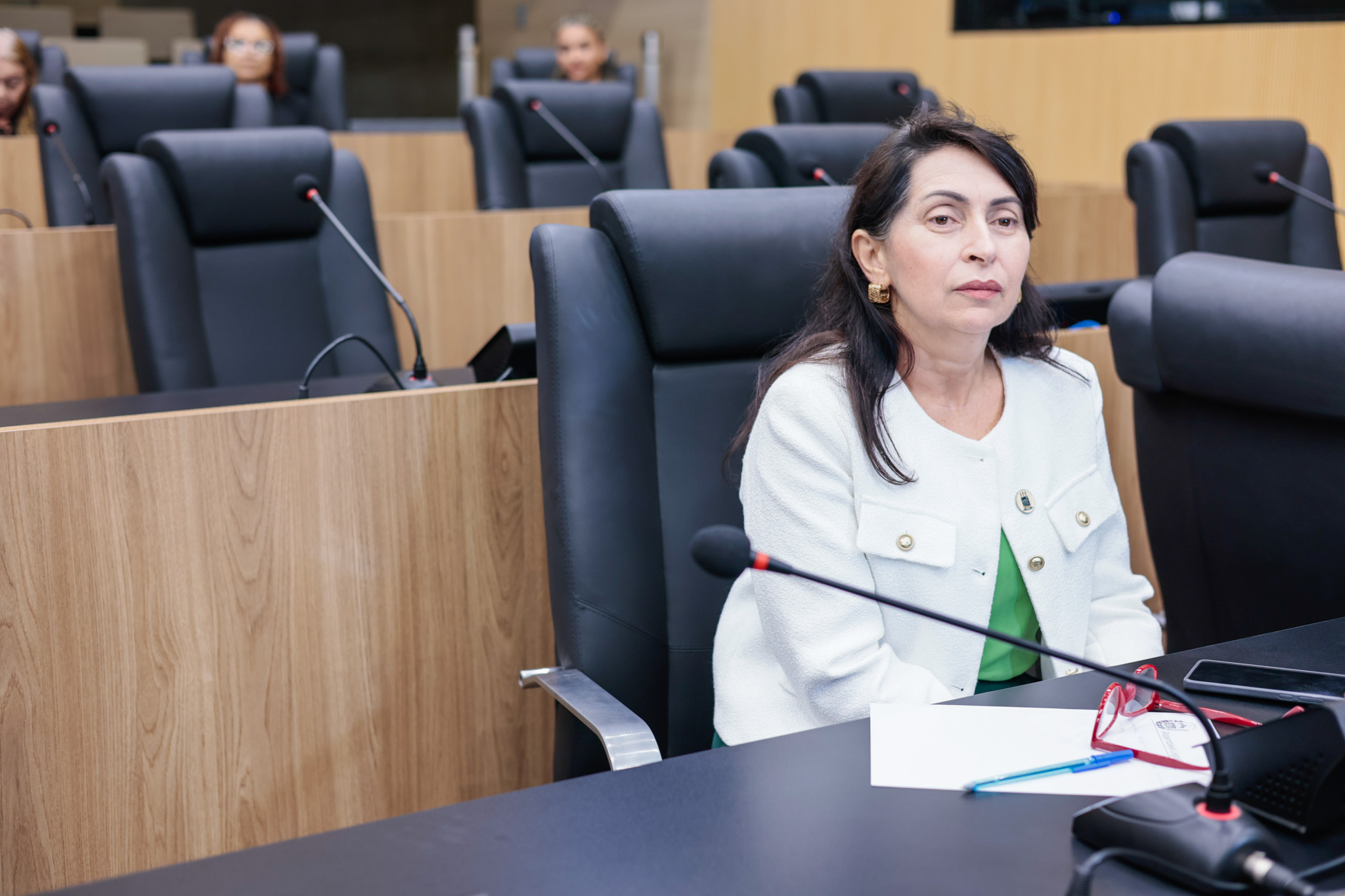 AUDIÊNCIA PÚBLICA PARA TRATAR DAS QUEIMADAS NO PIAUÍ (7).jpg