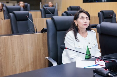 AUDIÊNCIA PÚBLICA PARA TRATAR DAS QUEIMADAS NO PIAUÍ (7).jpg