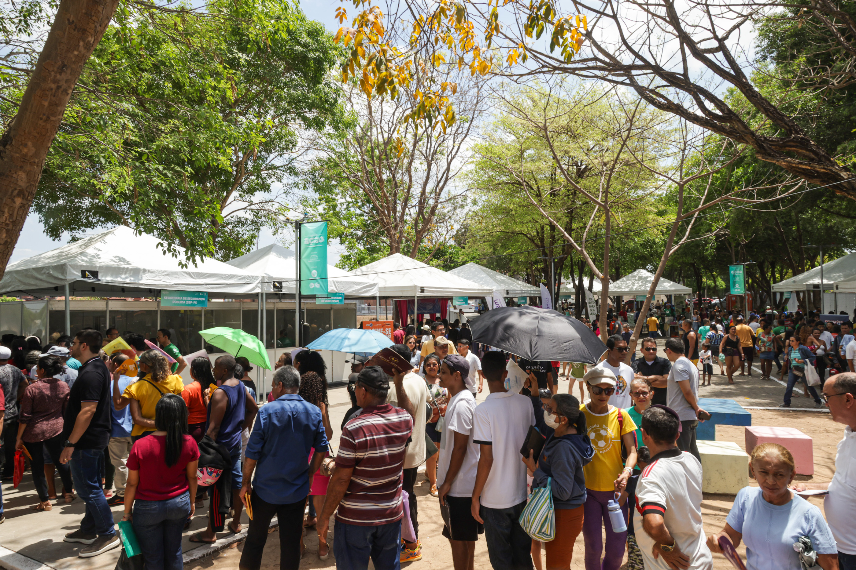 ASSEMBLÉIA EM AÇÃO - MOCAMBINHO FOTOS REGIS FALCAO ASCOM ALEPI (126).jpg