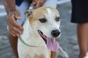 ASSEMBLÉIA EM AÇÃO - MOCAMBINHO FOTOS REGIS FALCAO ASCOM ALEPI (16).jpg