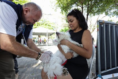 ASSEMBLÉIA EM AÇÃO - MOCAMBINHO FOTOS REGIS FALCAO ASCOM ALEPI (18).jpg