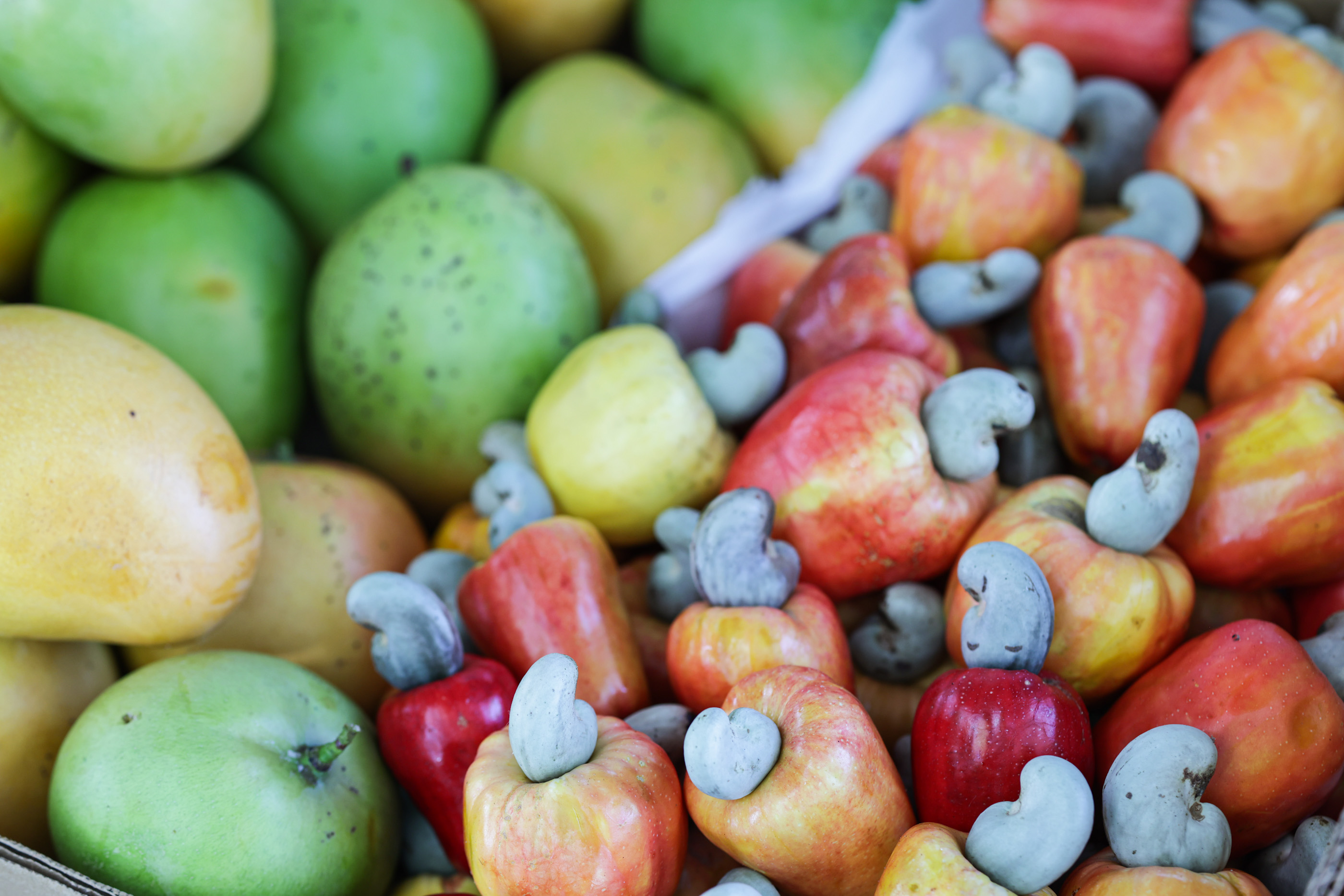 ASSEMBLÉIA EM AÇÃO - MOCAMBINHO FOTOS REGIS FALCAO ASCOM ALEPI (23).jpg