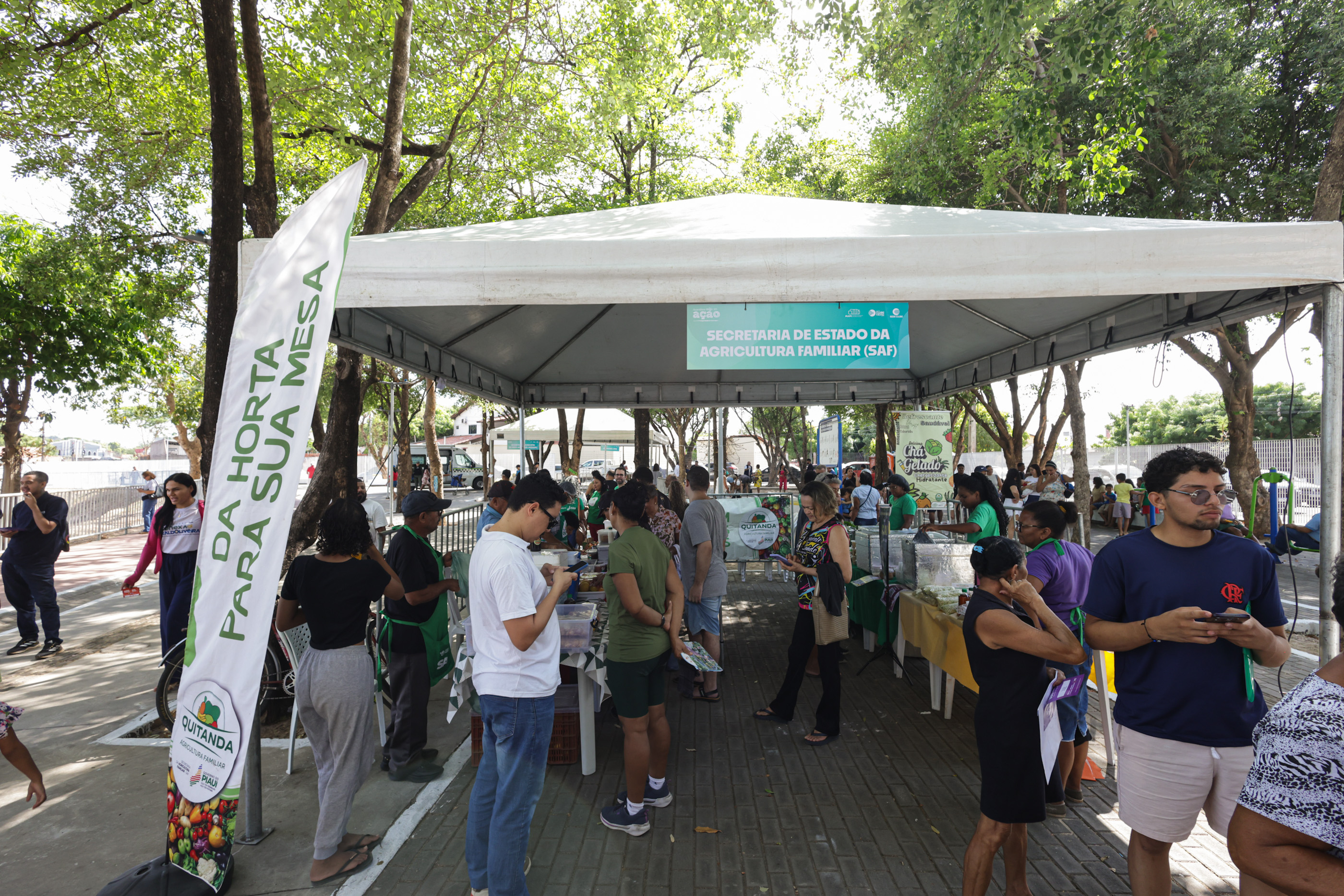 ASSEMBLÉIA EM AÇÃO - MOCAMBINHO FOTOS REGIS FALCAO ASCOM ALEPI (34).jpg