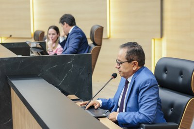 SESSÃO PLENÁRIA (1).jpg
