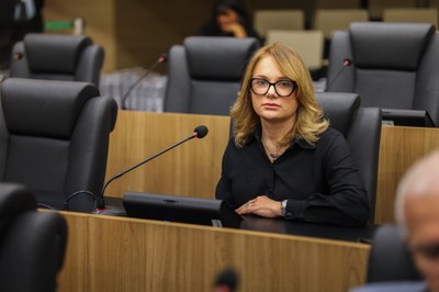 SESSÃO PLENÁRIA 14.10 (2).jpg