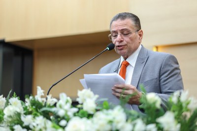 SESSÃO PLENÁRIA 15 (10).jpg