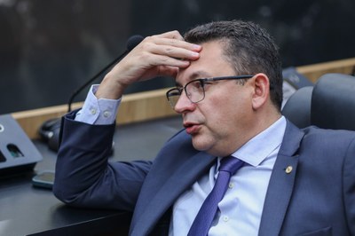 SESSÃO PLENÁRIA 15 (2).jpg