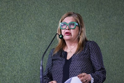 AUDIÊNCIA PUBLICA ESTRUTURAÇÃO DA POLÍTICA PÚBLICA DE CUIDADO - FOTOS REGIS FALCÃO ASCOM ALEPI (19).jpg
