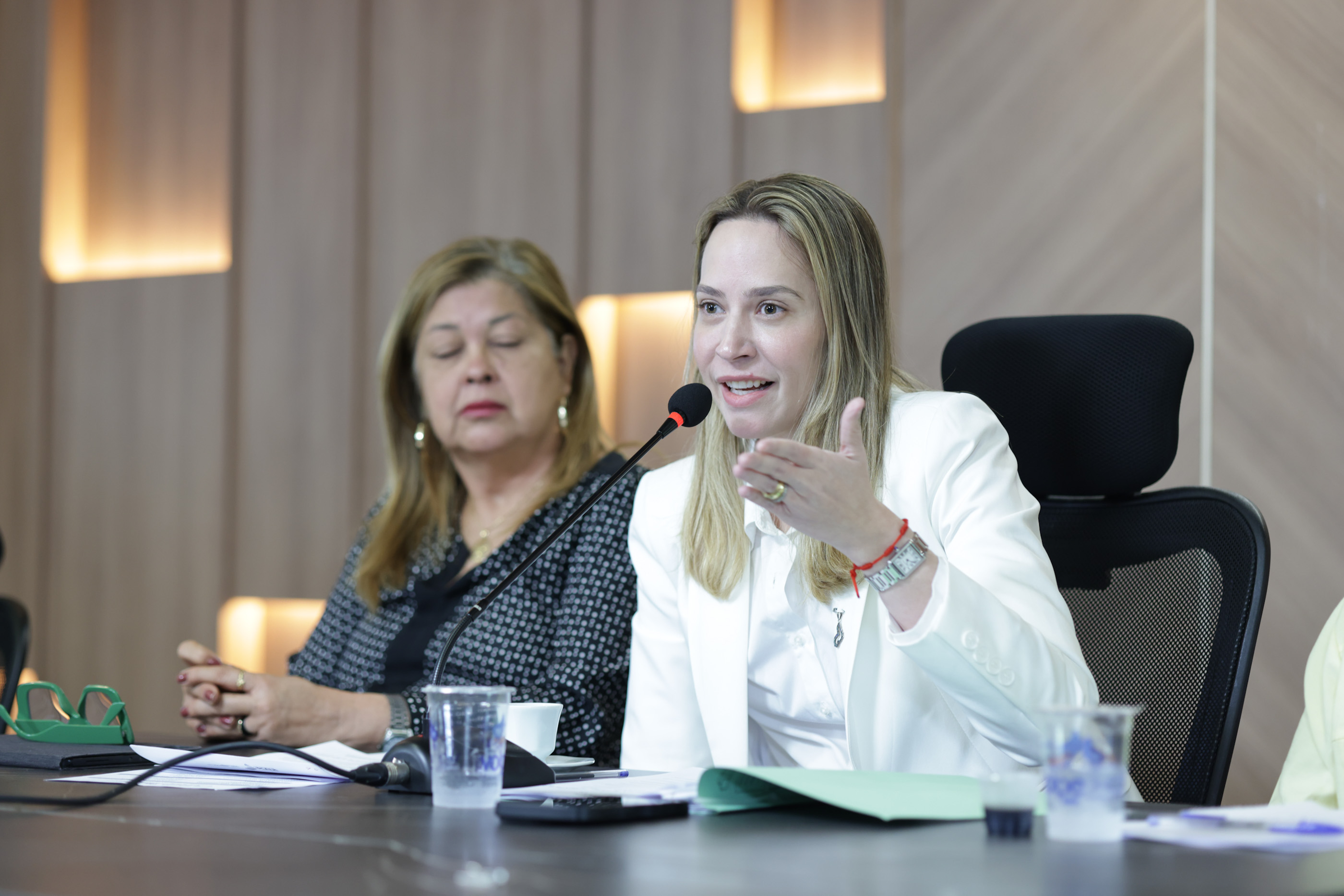 AUDIÊNCIA PUBLICA ESTRUTURAÇÃO DA POLÍTICA PÚBLICA DE CUIDADO - FOTOS REGIS FALCÃO ASCOM ALEPI (35).jpg
