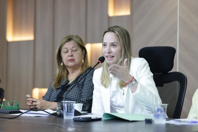 AUDIÊNCIA PUBLICA ESTRUTURAÇÃO DA POLÍTICA PÚBLICA DE CUIDADO - FOTOS REGIS FALCÃO ASCOM ALEPI (35).jpg