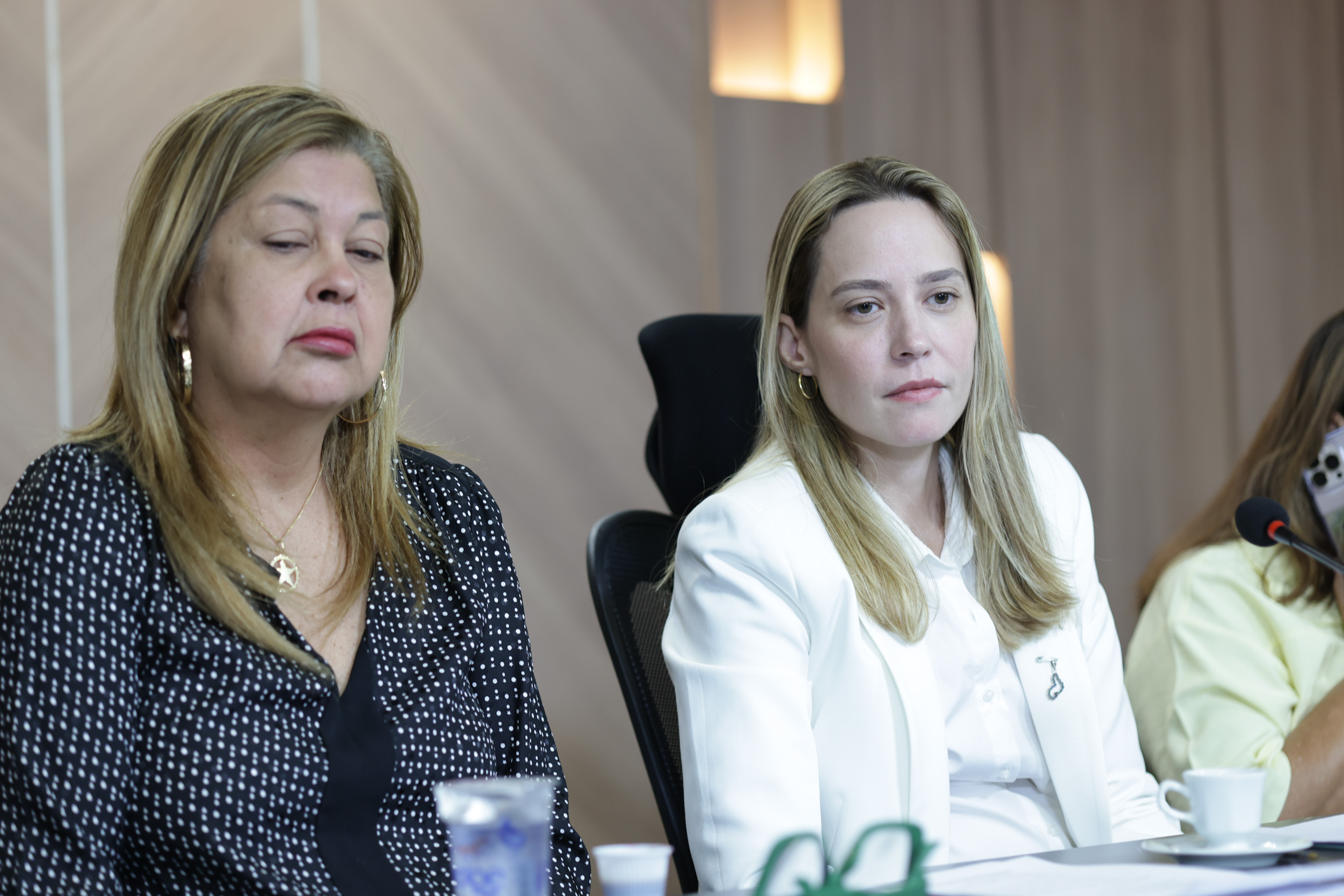 AUDIÊNCIA PUBLICA ESTRUTURAÇÃO DA POLÍTICA PÚBLICA DE CUIDADO - FOTOS REGIS FALCÃO ASCOM ALEPI (37).jpg