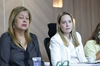 AUDIÊNCIA PUBLICA ESTRUTURAÇÃO DA POLÍTICA PÚBLICA DE CUIDADO - FOTOS REGIS FALCÃO ASCOM ALEPI (37).jpg