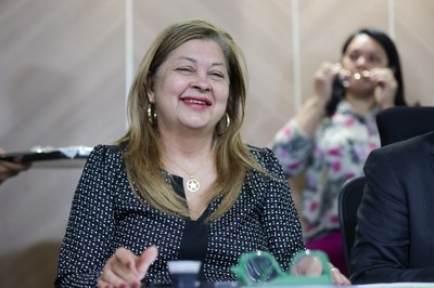 AUDIÊNCIA PUBLICA ESTRUTURAÇÃO DA POLÍTICA PÚBLICA DE CUIDADO - FOTOS REGIS FALCÃO ASCOM ALEPI (7).jpg