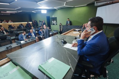 REUNIÃO DAS COMISSÕES CONJUNTAS (1).jpg