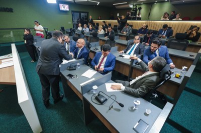 REUNIÃO DAS COMISSÕES CONJUNTAS (2).jpg