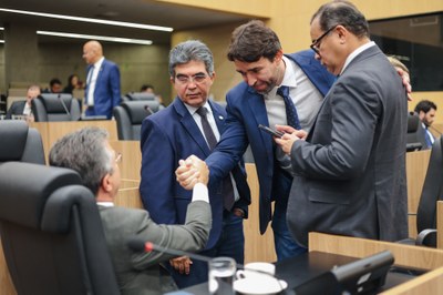 SESSÃO PLENÁRIA 21 (1).jpg