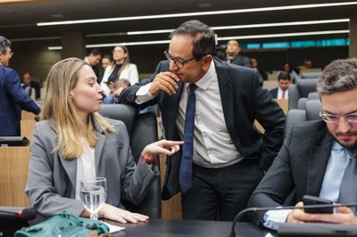 SESSÃO PLENÁRIA 21 (10).jpg