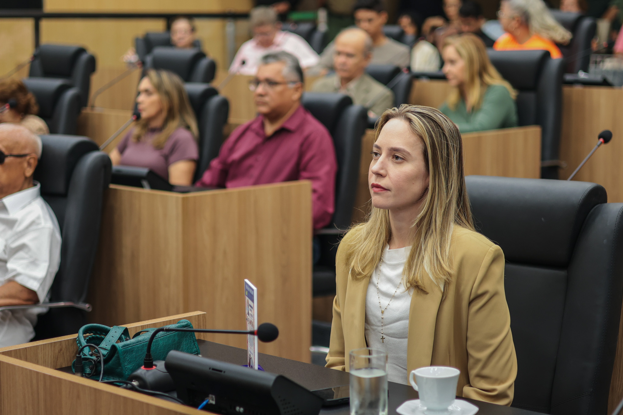 SESSÃO SOLENE DOS DOS 25 ANOS DA PAROQUIA DE LURDES (11).jpg