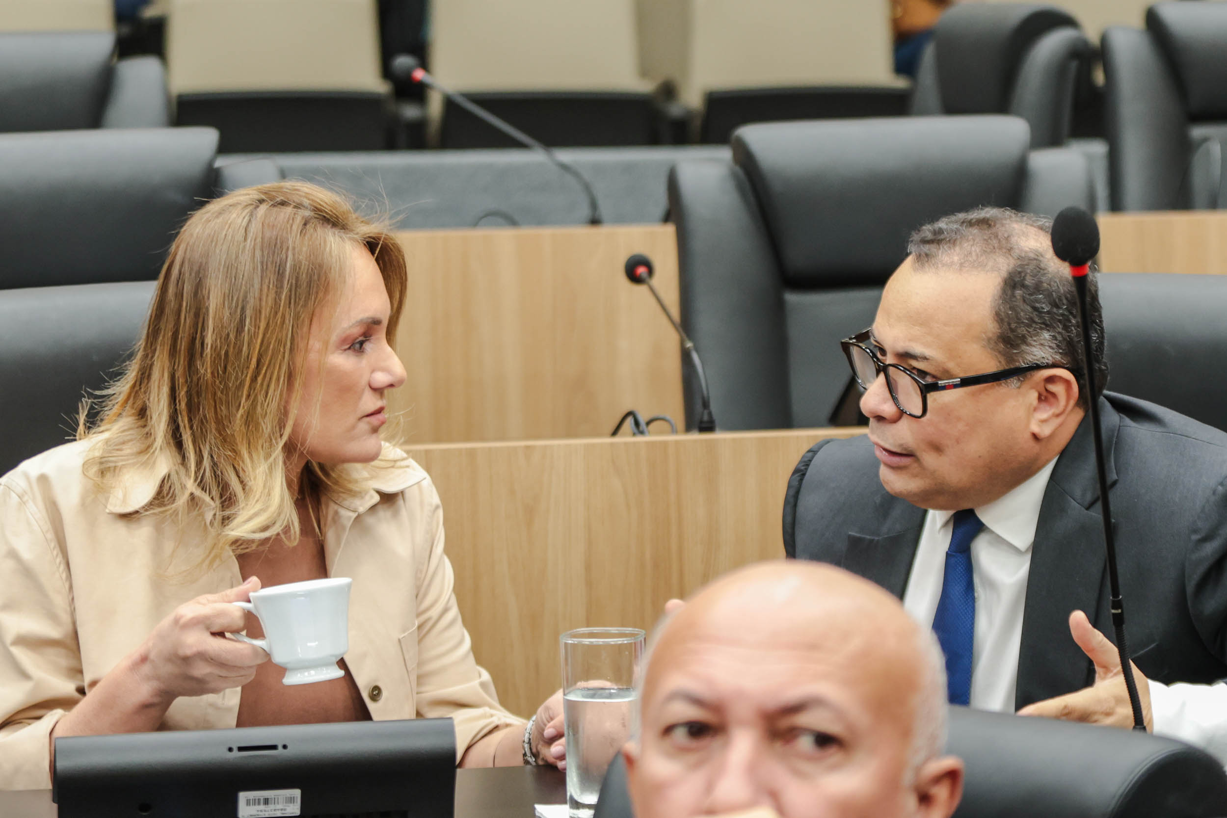 SERSSÃO PLENÁRIA 29 (11).jpg