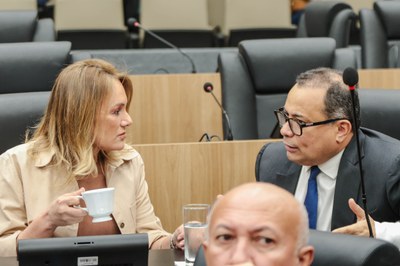 SERSSÃO PLENÁRIA 29 (11).jpg