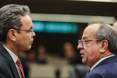 SERSSÃO PLENÁRIA 29 (17).jpg