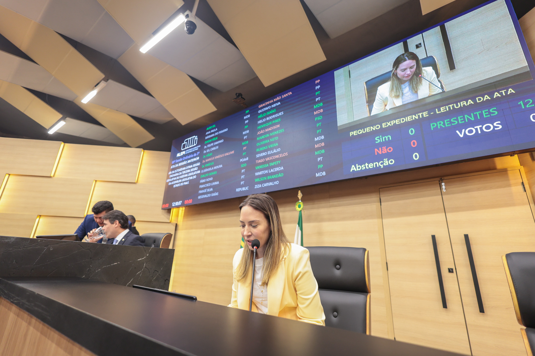 SESSÃO PLENÁRIA 02 (17) VANESSA TAPETY.jpg