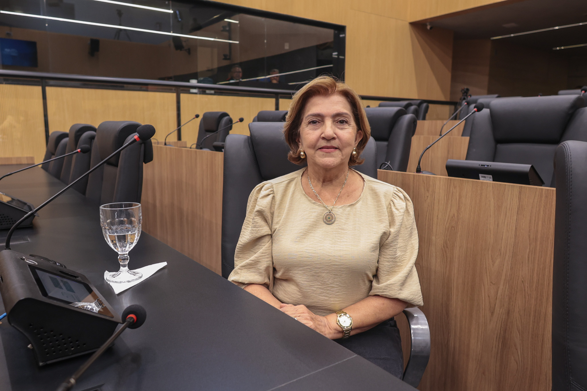 SESSÃO PLENÁRIA 02 DEPUTADA MARIA JOSÉ LEÃO.jpg