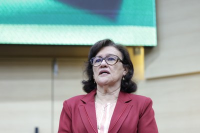 SESSÃO SOLENE TÍTULO DE CIDADANIA AO SR ANTÔNIO LEANDRO DA SILVA (30).jpg