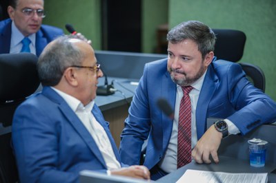 COMISSÃO DE CONSTITUIÇÃO E JUSTIÇA (9).jpg