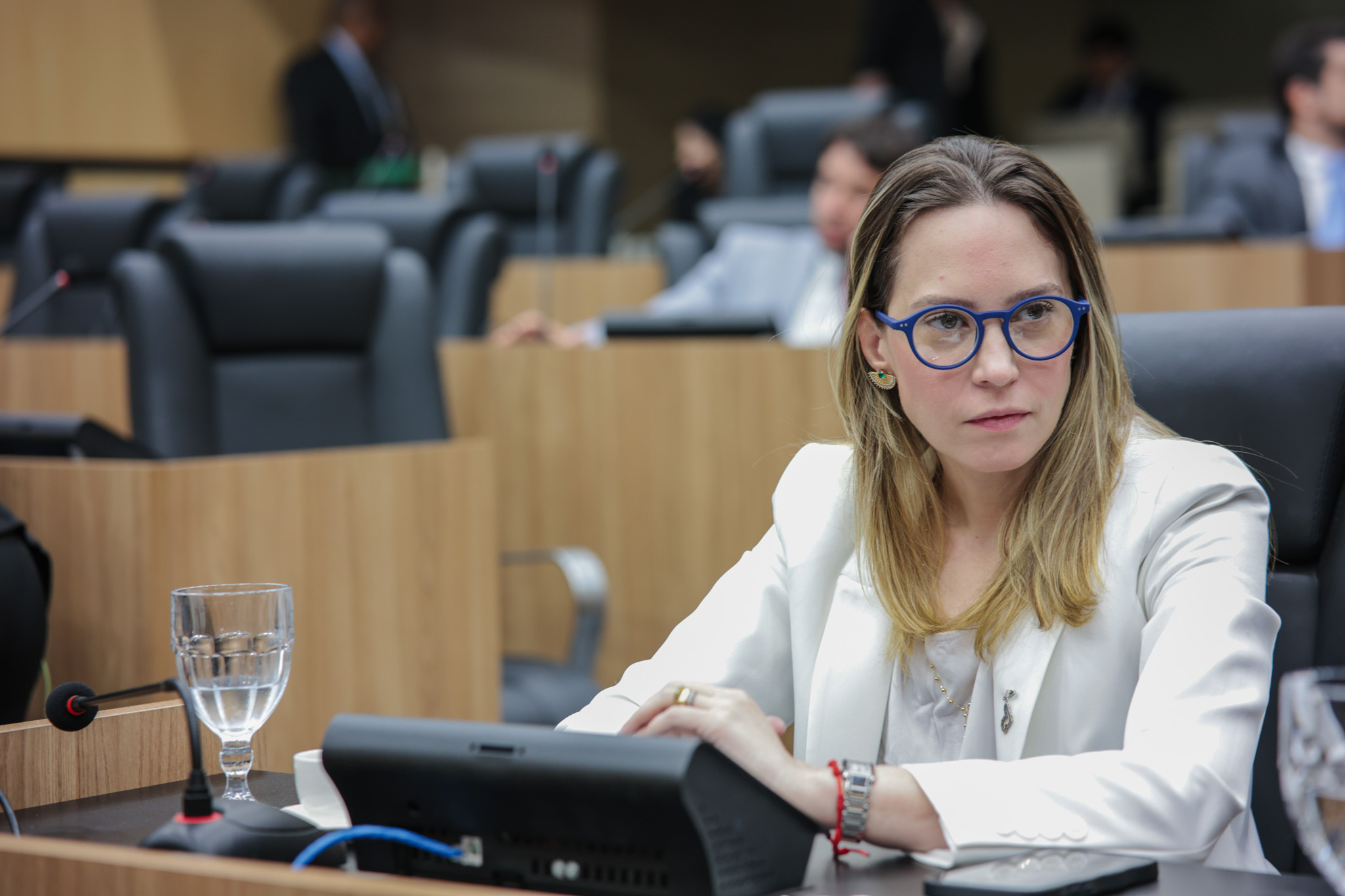 SESSÃO PLENÁRIA 09.09 (12).jpg