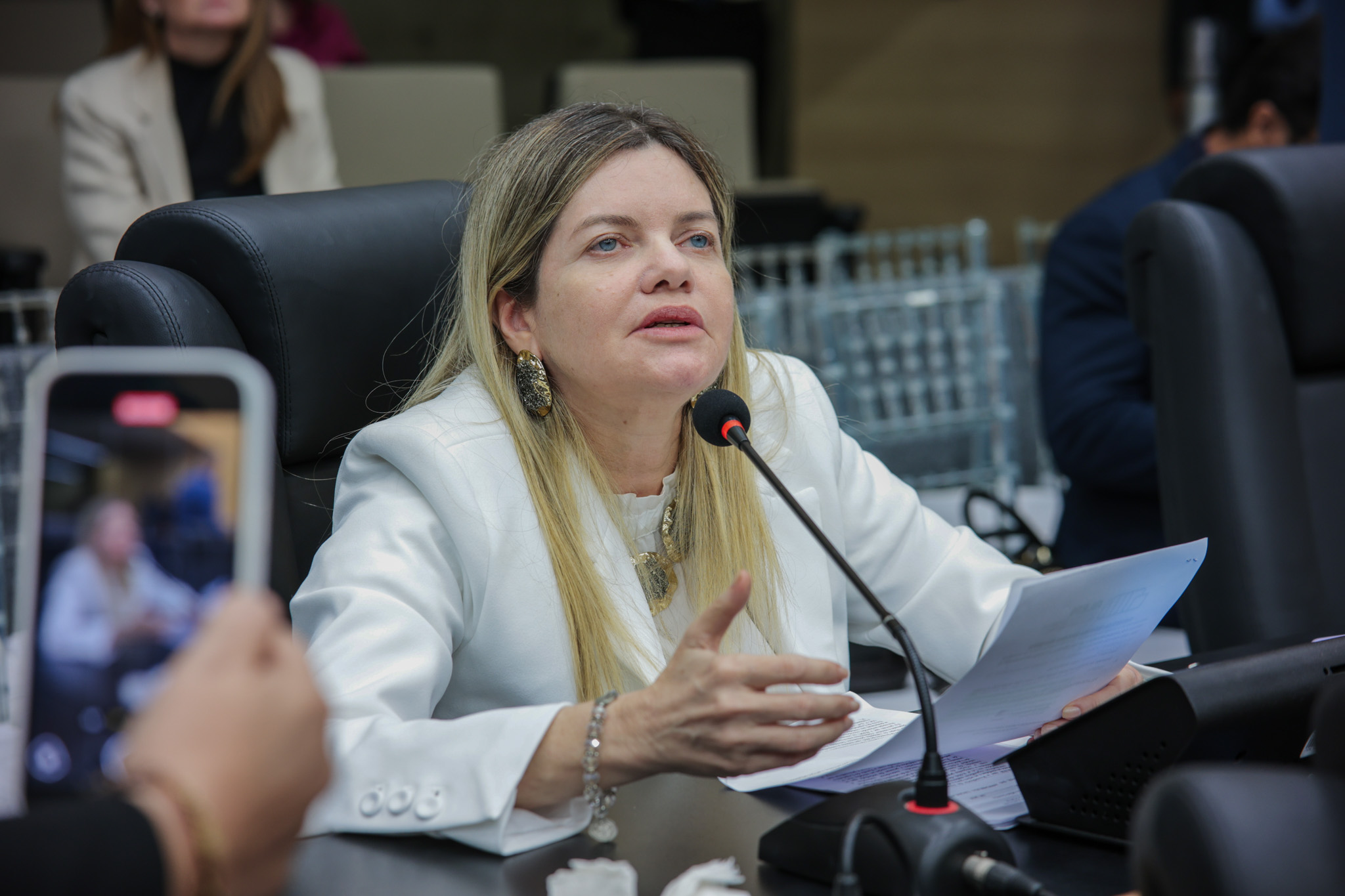 SESSÃO PLENÁRIA 09.09 (23).jpg