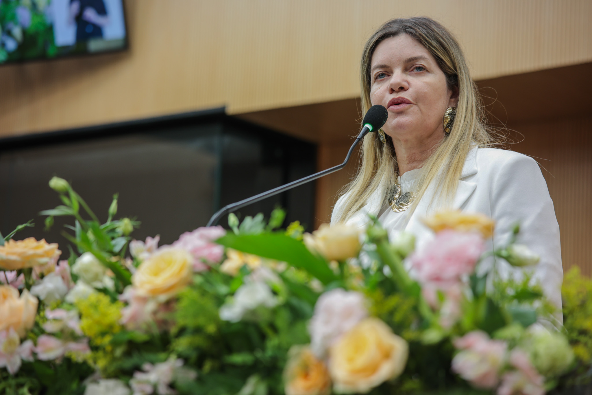 SESSÃO PLENÁRIA 09.09 (29).jpg