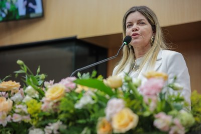 SESSÃO PLENÁRIA 09.09 (29).jpg