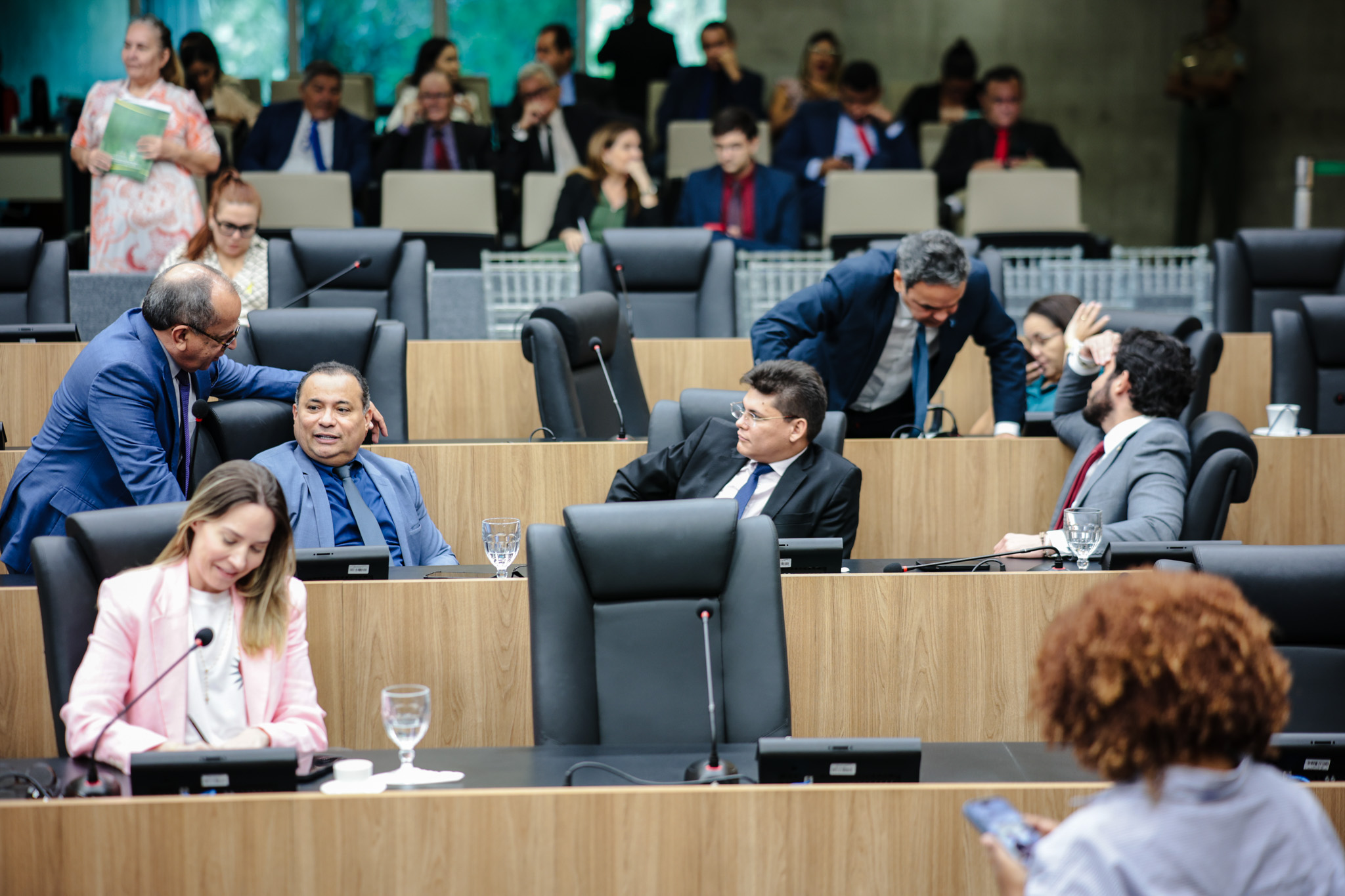 SESSÃO PLENÁRIA (15).jpg
